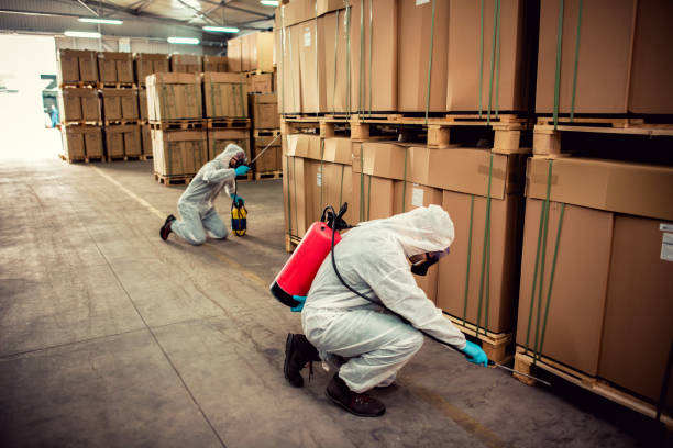 Best Best Pest Control Companies  in Brentwood, TN