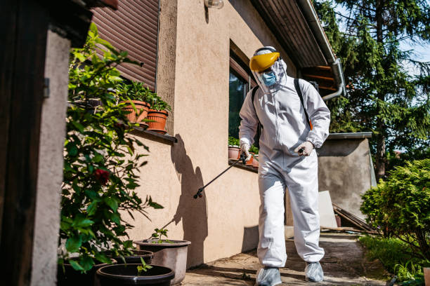 Best Bed Bug Extermination  in Brentwood, TN
