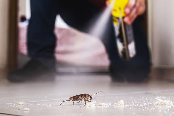Best Cockroach Control Services  in Brentwood, TN